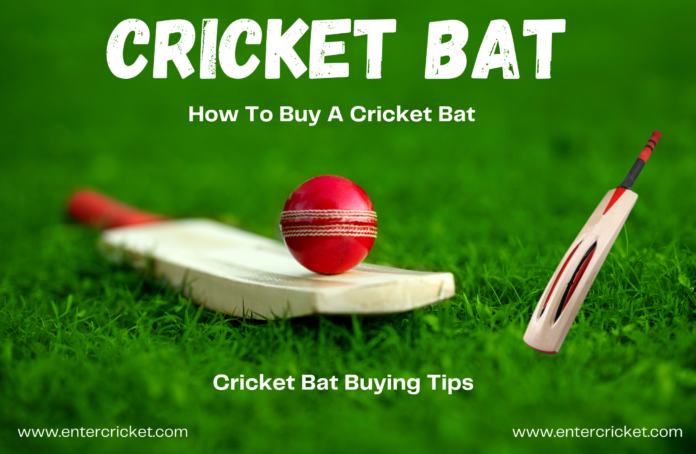 Cricket Bat Buy